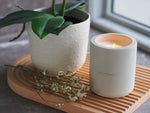 Load image into Gallery viewer, &quot;Autumn Pear&quot; Soy Candle
